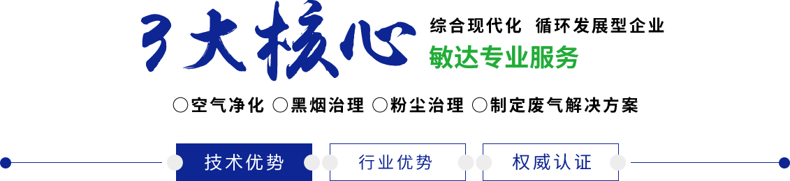 校花舔我鸡巴视频敏达环保科技（嘉兴）有限公司